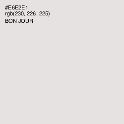 #E6E2E1 - Bon Jour Color Image